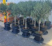 REJILLA SOPORTE PARA MACETAS Ø30