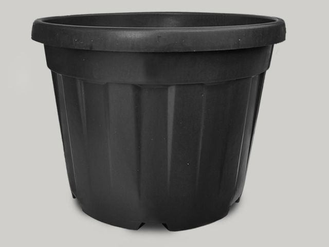 FENICE ECO-Ø37 ALT.33,5 CM. 30 LITROS